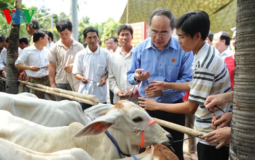 VFF President visits President Ton Duc Thang memorial house - ảnh 2